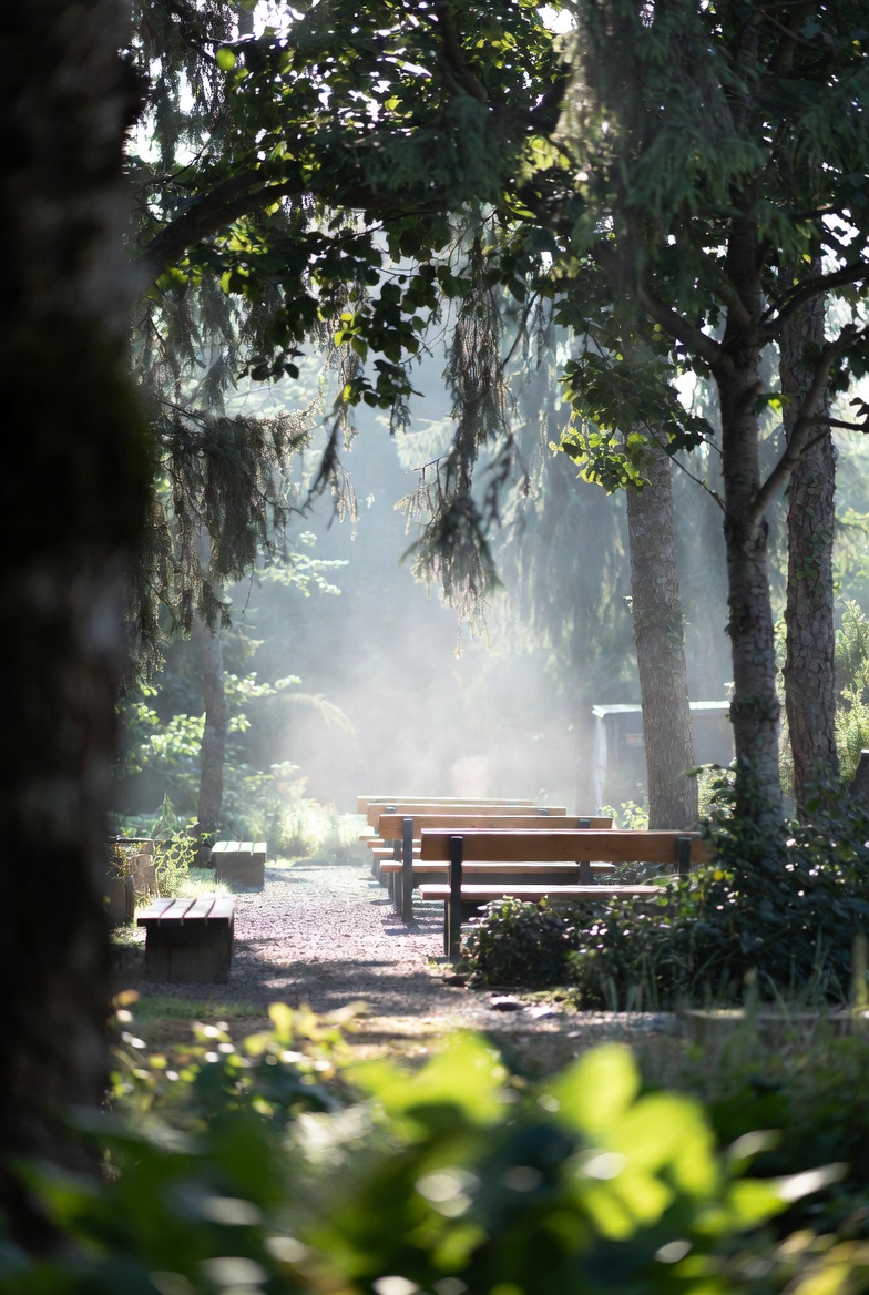 Concept imagery — silence garden